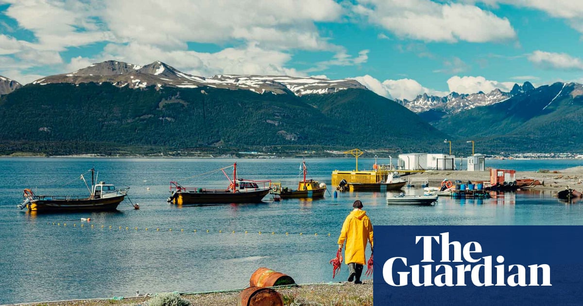 Crabs, kelp and mussels: Argentina’s waters teem with life – could a fish farm ban do the same for Chile?  | Fish | The Guardian