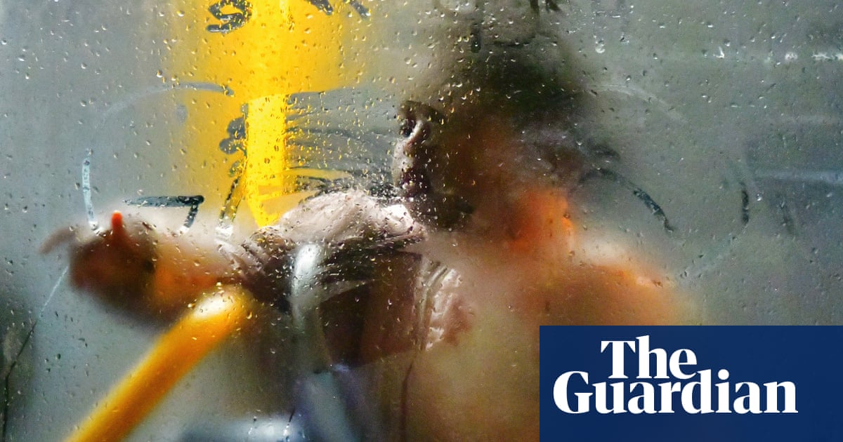 En los autobuses: vislumbres de los pasajeros en movimiento en un Londres lluvioso – en imágenes | Arte y diseño En los autobuses: vislumbres de los pasajeros en movimiento en un Londres lluvioso – en imágenes | Arte y diseño