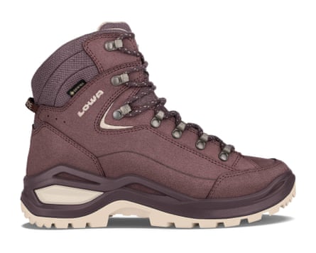 Lowa Renegade Evo GTX Boots