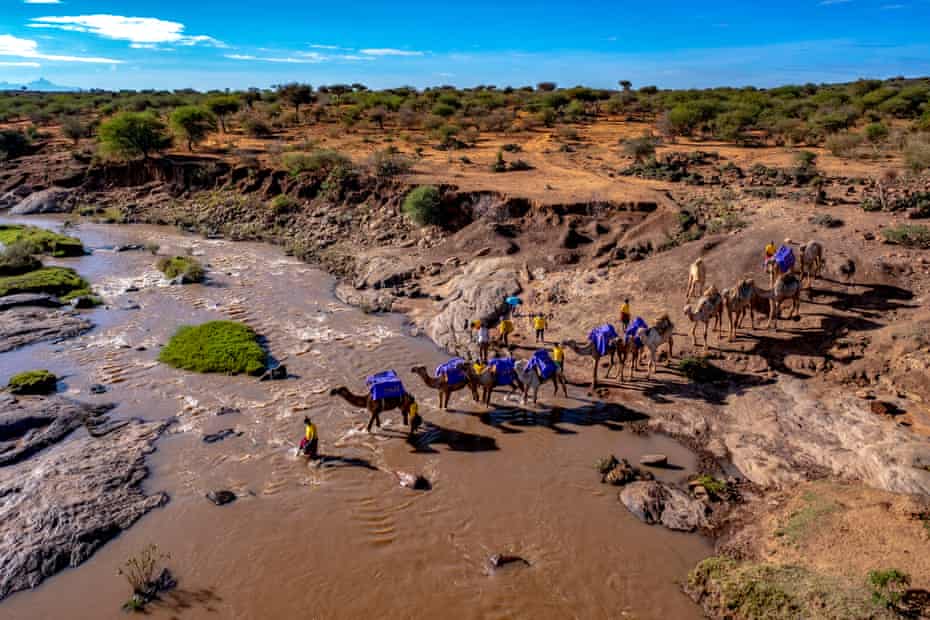 Communities Health Africa Trust (Chat) travelling on camels to deliver health care