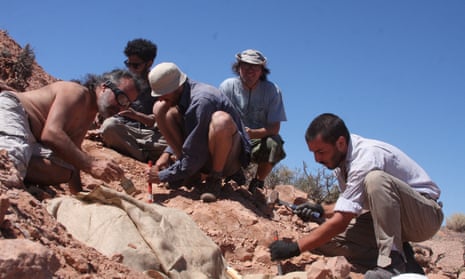 Palaeontologists work on the excavation of bones and fossils that belonged to a newly discovered species of bipedal armoured dinosaur, Jakapil kaniukura, in Río Negro, Argentina.