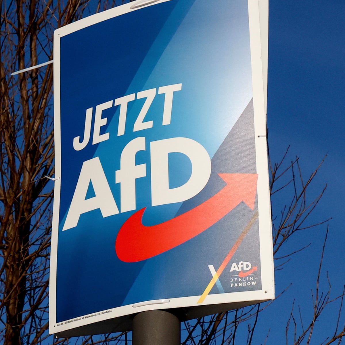 German police investigate AfD flyers resembling plane tickets for  immigrants | Germany | The Guardian
