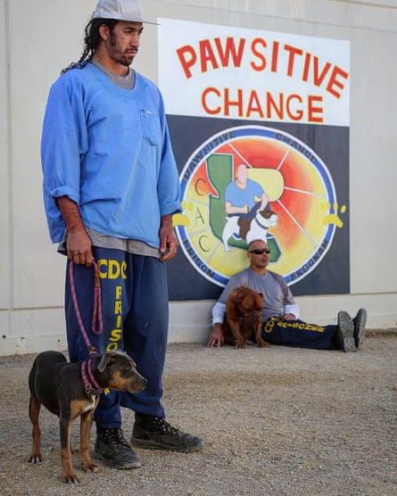 Accent the pawsitive: prisoners and dogs helping each other on the programme.