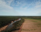 NT environmentalists ‘gobsmacked’ at federal green light to bulldoze nearly 3,000 hectares of tropical savanna