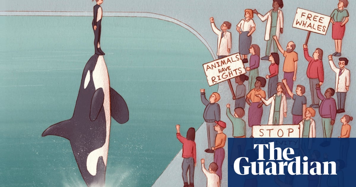 The killer whale trainers who still defend captivity: ‘I’m an endangered species myself’ | Dolphins
