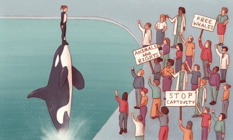 illustration of woman standing on nose of orca rising straight out of the water, as a crowd of protesters watches and shakes their fists