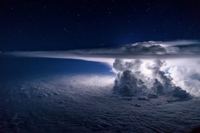 National Geographic Nature Photographer Of The Year 16 In Pictures Art And Design The Guardian