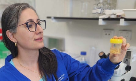 Prof Shamsi with nematode specimens at a Charles Sturt University lab