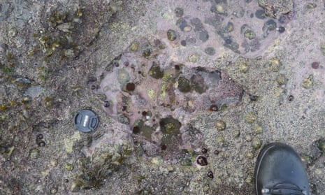 A footprint made by theropod dinosaur, found on the Isle of Syke.