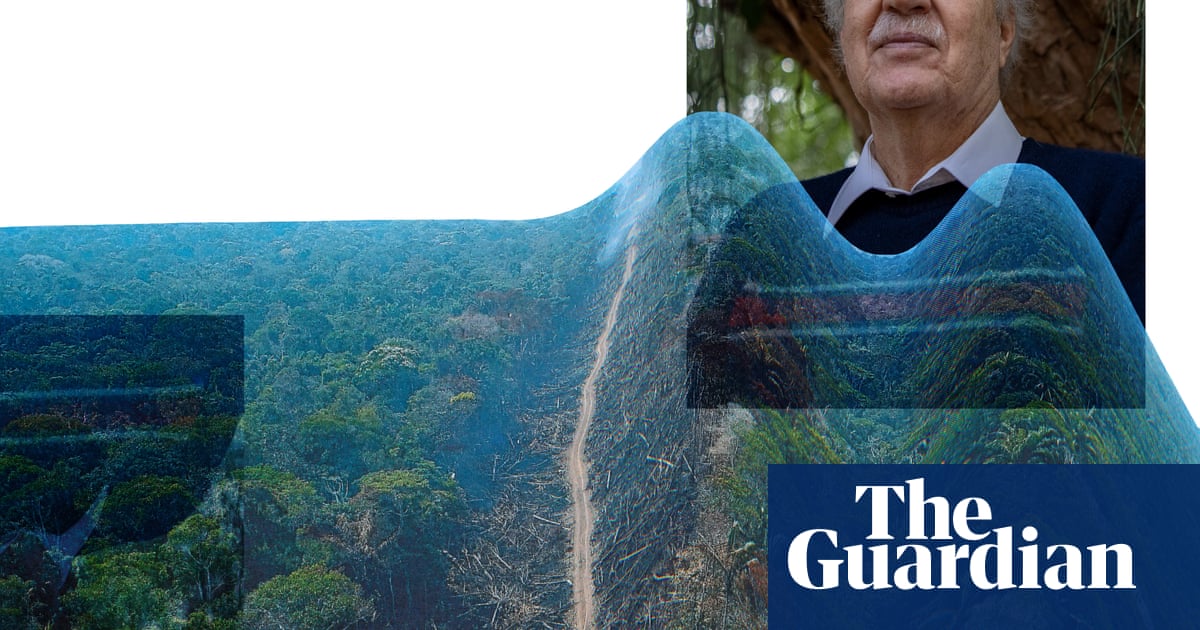 We are perilously close to the point of no return': climate scientist on Amazon rainforest's future