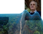 ‘We are perilously close to the point of no return’: climate scientist on Amazon rainforest’s future