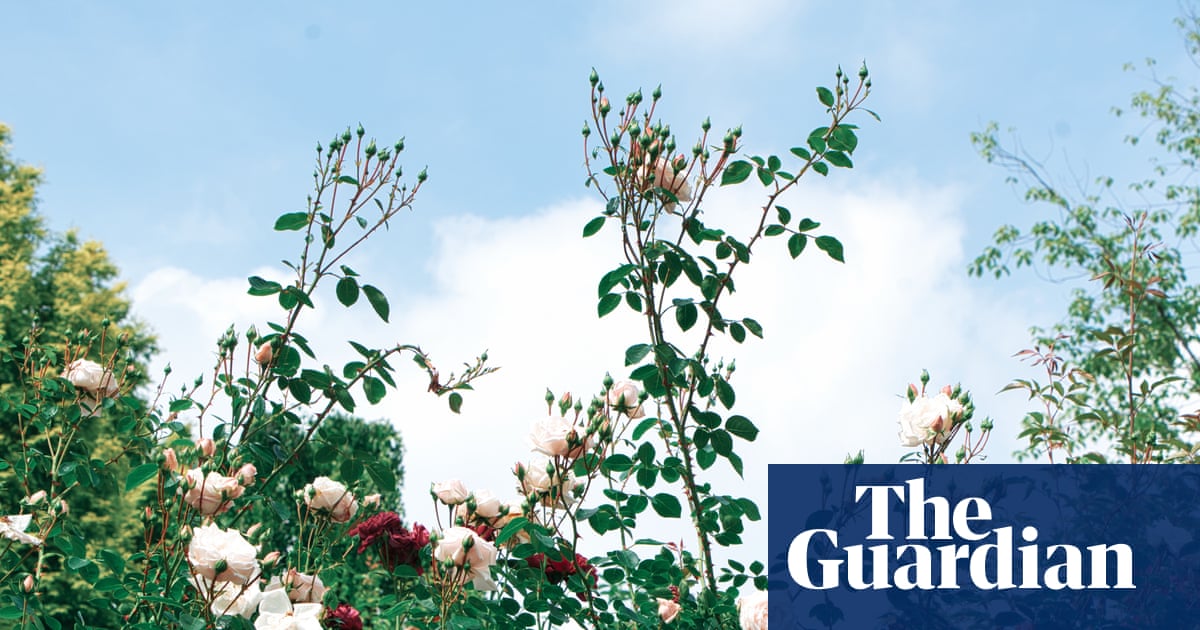 Death and the Gardener by Georgi Gospodinov review how it feels to lose a father