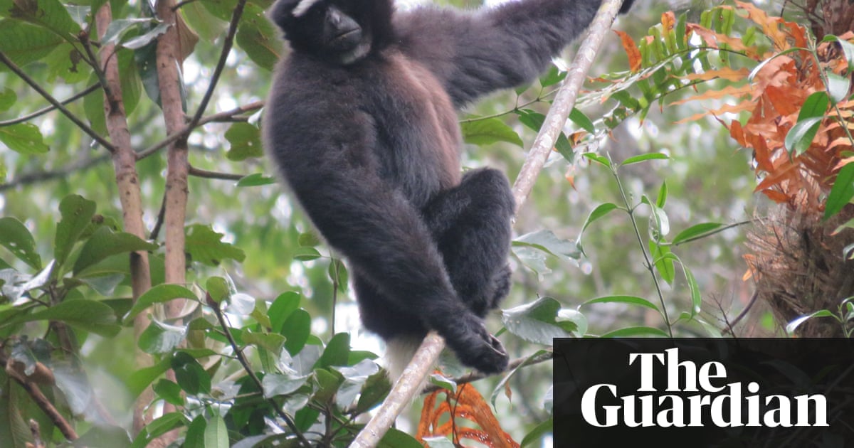 Wildlife Conservation Society's favourite pictures of 2016