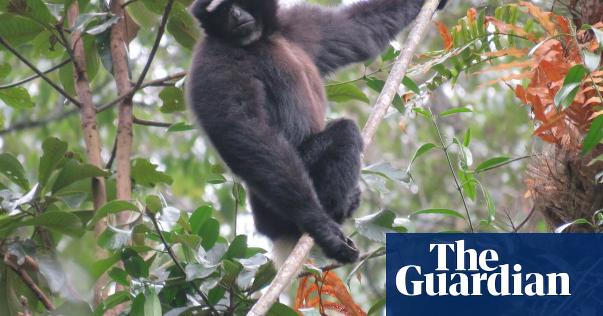 Wildlife Conservation Society's favourite pictures of 2016