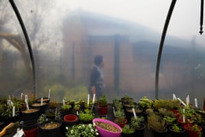 The horticulture polytunnel at Guild Lodge NHS secure mental health unit in Lancashire
