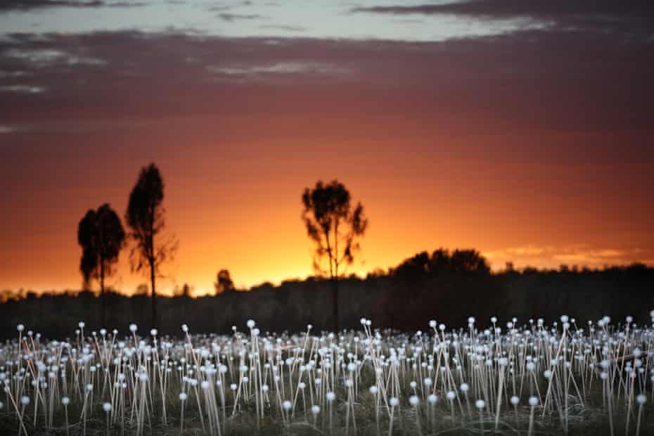 Field of Light outside Uluru