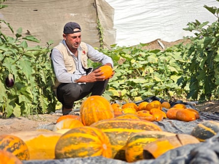 Saqer Abu Rabee squats in a field hold an orange vegetable