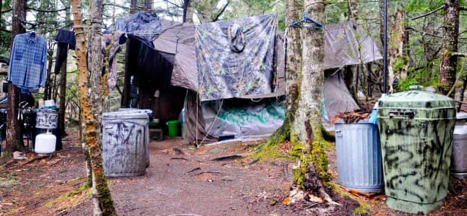 Le camp de Christopher Knight.