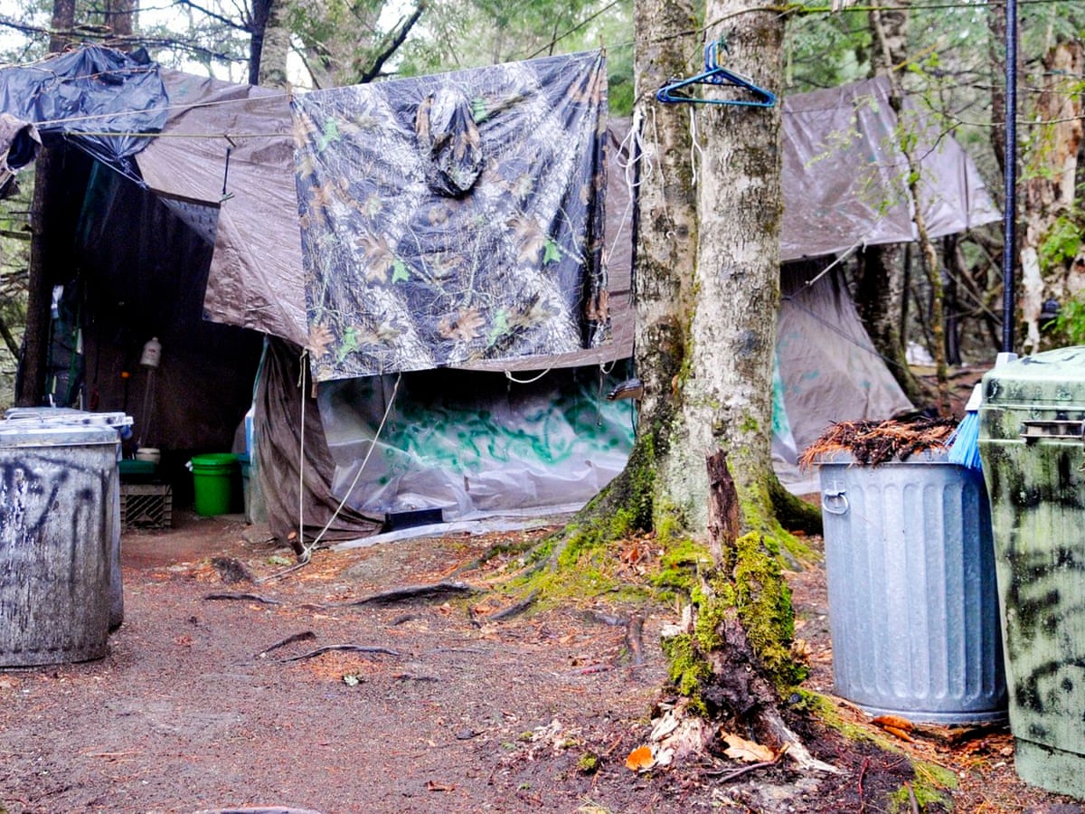 Stranger In The Woods By Michael Finkel Review A Profound Hermit Not Really Books The Guardian