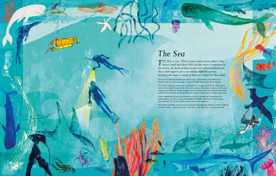 The Sea: Exploring our blue planet by Miranda Krestovnikoff (author) and Jill Calder (illustrator).