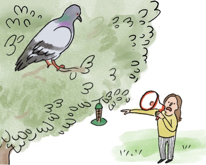 Our feathered friends refuse to play fat ball: the Edith Pritchett cartoon