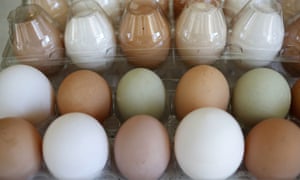 United Egg Producers FOIA
