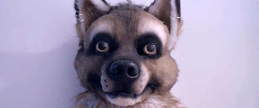 furry still