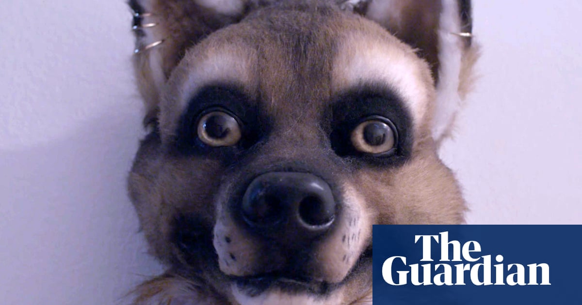 It S Not About Sex It S About Identity Why Furries Are Unique Among Fan Cultures Fashion The Guardian - buff naked chest roblox