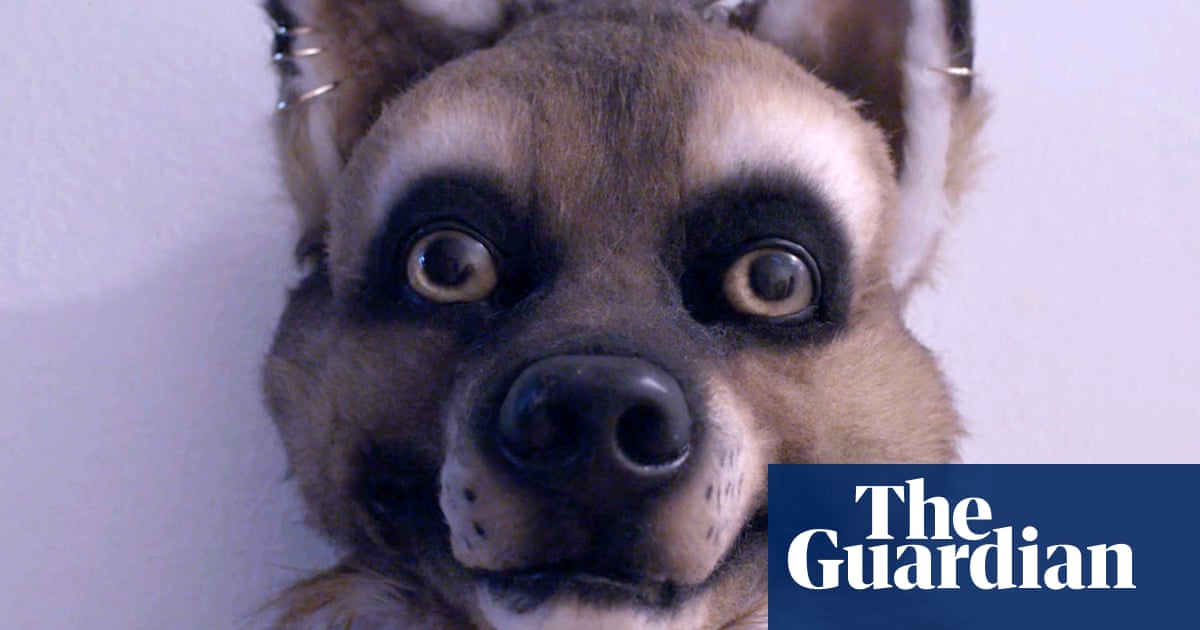 It S Not About Sex It S About Identity Why Furries Are Unique