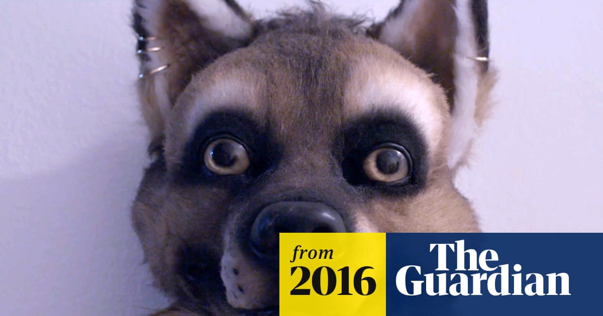 It's not about sex, it's about identity: why furries are unique among fan cultures | Fancy dress and costume | The Guardian It's not about sex, it's about identity: why furries are unique among fan cultures | Fancy dress and costume | The Guardian
