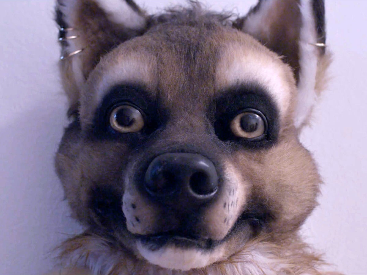 Roblox Wolf Ears Id Code