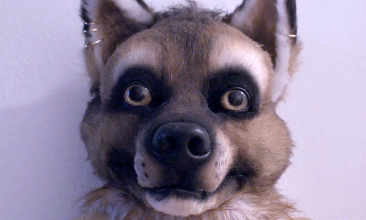 It S Not About Sex It S About Identity Why Furries Are Unique Among Fan Cultures Fancy Dress And Costume The Guardian