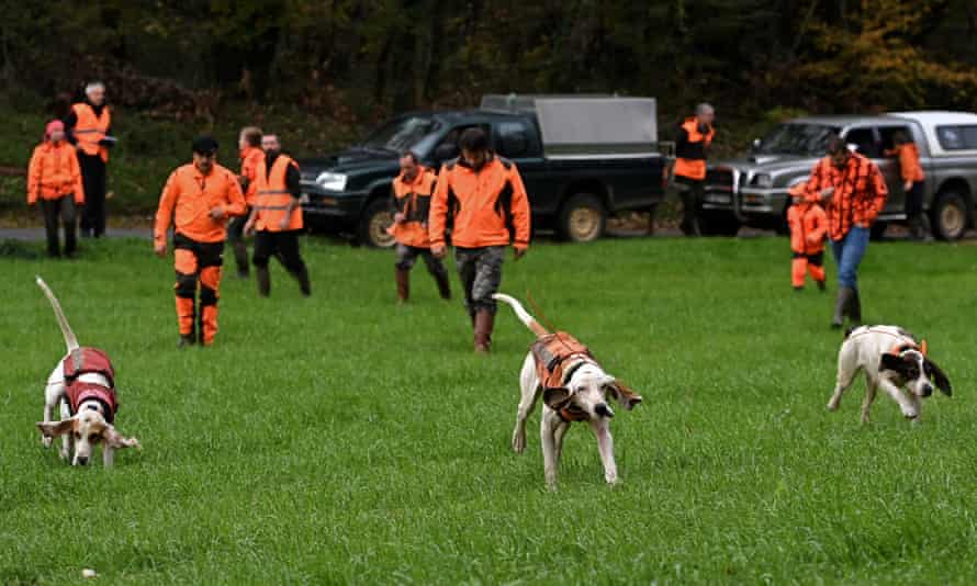 Hunters set off with their dogs on the trail of wild boar in Montamel, south-western France