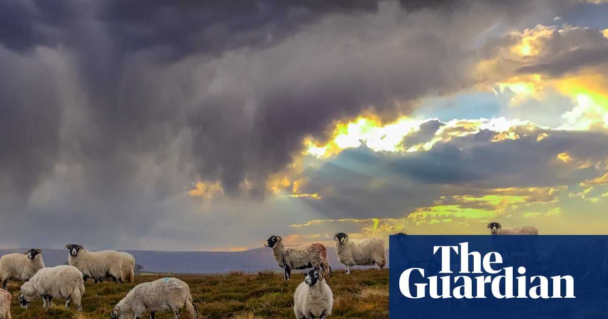 How we can improve food security in Britain | Letters