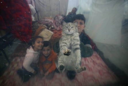 A child, sheltering in a tent with two others, holds a cat up to the camera for a photo.