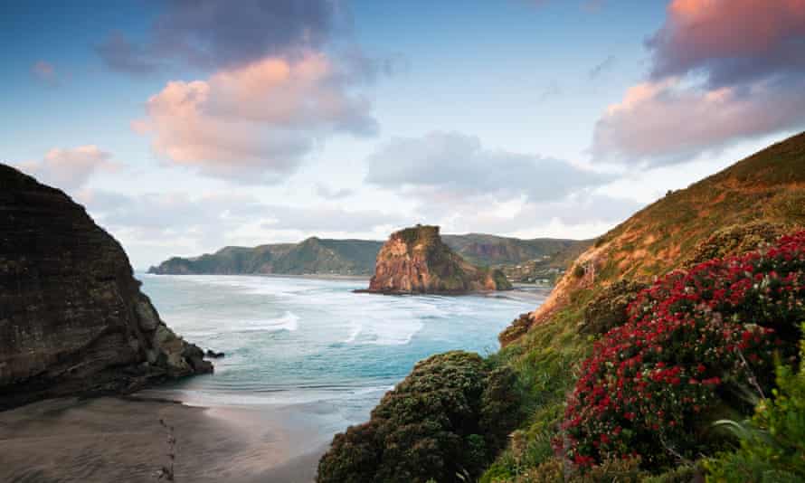 View of Piha beach and Lion Rock, Waitakere Ranges regional park, Auckland, New Zealand