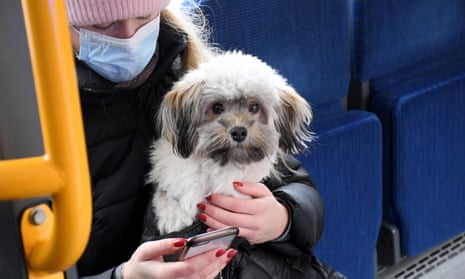 A masked woman rides the Copenhagen subway in December. She carries a dog.