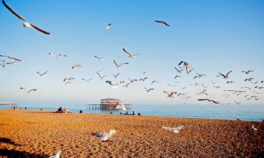 A flock of seagulls flies over Brighton beach with the ruins of the famous West Pier in the background.J3J86B A flock of seagulls flies over Brighton beach on the south coast of England with the ruins of the famous West Pier in the background.