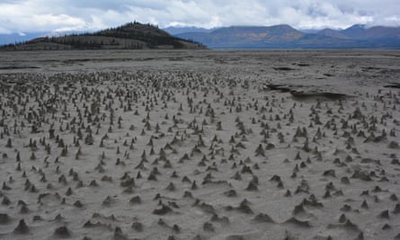 Sections of the newly exposed bed of Kluane Lake contain small pinnacles. Wind has eroded sediments with a harder layer on top that forms a protective cap as the wind erodes softer and sandier sediment below. These pinnacles, just a few centimeters high, are small-scale versions of what are sometimes termed “hoodoos.”