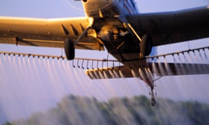 Agriculture - Aerial chemical application close up of crop duster as it pulls up from it’s run / California, USA.A99B74 Agriculture - Aerial chemical application close up of crop duster as it pulls up from it’s run / California, USA.