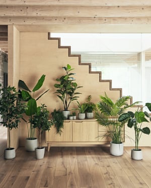Greening up your home with faux or real plants is a growing trend,”