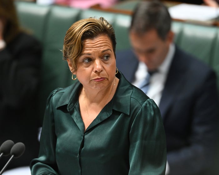 Labor’s proposed FoI clampdown ‘ripe’ for high court challenge, legal expert says