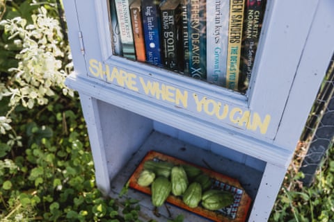 A community library box and vegetable box that Jo Nemeth contributes to.