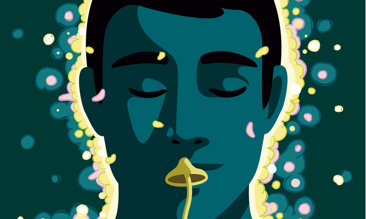 My mother-in-law called me Walter White': how magic mushrooms ...