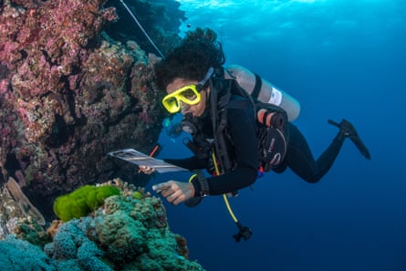 Yashika Nand of WCS Fiji inspects corals during a dive in Vatu-i-Ra