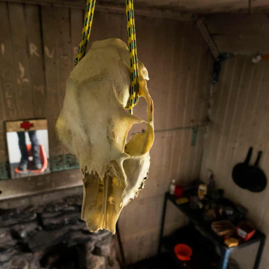 A skull hangs from the ceiling, successful  Ben Alder Cottage