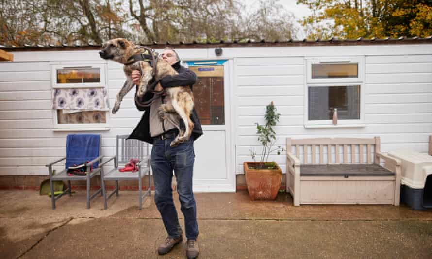 Jason Alton, assistant kennel manager at All Dogs Matter in Waltham Abbey.
