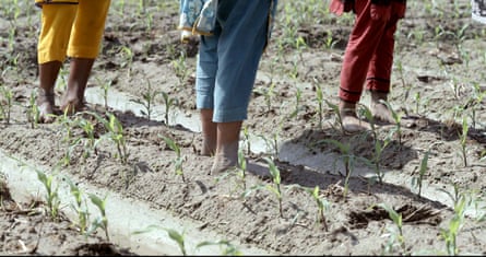Rehana Zaman’s film still showing farm workers’ legs and feet in a field.