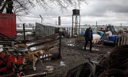 Valerii Kotenkos berjalan melalui pekarangan pertanian di Odesa Oblast, Ukraina.  Moskow telah memperingatkan bahwa hal itu dapat memblokir pengiriman biji-bijian Ukraina ke pasar internasional kecuali barat menghilangkan 