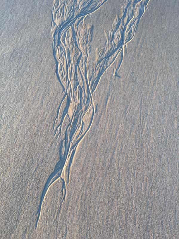 Tide lines on an empty stretch of Kangaroo Island beach